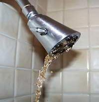 Our Annandale VA Plumbing Service Helps Repair clogged Shower Heads 
